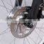 Programmable electric bicycle (Model MTB600U)