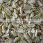 raw peanuts split from China