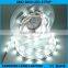 Cheap price smd5050 underwater led light strip ip68