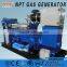80kw biogas generator price
