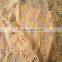 China Supplier Modern Design Embroidery Fabric for Women Clothing