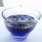 Natural Butterfly Pea Tea Hot Sale