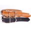 High Quality puppy cat pet collars cowhide leather dog collar three-car chrome
