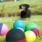 Hollow Rubber Pet Ball