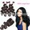 Hot Selling Light Brown Lace Closure