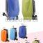Skate boarding bag 21inch ITEM-D PC material