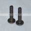 Standard M*6*1.0 Black zinc Screw bike for Foxconn