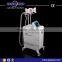 LM-S600H Cryotherapy Cavitation Vacuum 32kHZ RF Multifunctional Slimming Machine Ultrasound Therapy For Weight Loss