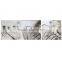 White Shoes Decontamination Artifact Portable Washing Cheap Wholesale Cleaning Liquid Detergent