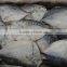 Chinese 150-200g/PCS Frozen Whole Round Moon Fish