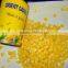 Canned Sweet Corn Kernel From China