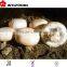 2015 good quality prices IQF champignons halves/dices/slices