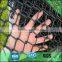 PVC coated chain link fence for sale