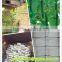 Hot Sale Best Price Plant Support Net/fagioli e piselli rete