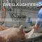 Professional Pig Slaughterhouse Plant Skinning Machine For Hog Abattoir Eqiupment