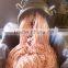 meat grinder