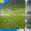 Tie Steel Hog Wire Fence Hot Sale