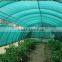 Tunnel Greenhouses With Supporting Systems