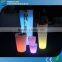 Automobile Show Color Changing Lighted Flower Pot LED