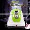 professional double pole mini vertical garment steamer