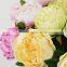 hot sell new style peony new year decoration wedding fabric