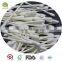 dental cleaning colored baby use alcohol cotton swab
