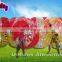 colourful human inflatable bumper ball for rental