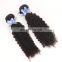 2017 aliexpress hot sale curly wave raw indian hair human hair extension