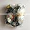 Auto Wire Harness 5260403 for for ISBe ISDe Electronic Control Module , Genuine ECM Wire Harness