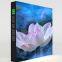 SEG Pop Up light box ,backwall Exhibition display ,Exhibition display SEG pop up stand/back wall ,Customized Portable Fabric Straight Freestanding 3X3 Back lit Exhibition Seg Pop Up Stand
