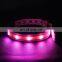 Hot sale waterproof nylon LED pet light collar with USB charging function