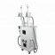 2018 best Vertical Criolipolisis / Criolipolise / Cryolipolysis fat freezing machine for loss weight body slimming
