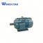 160kw 220hp y Series Three Phase Electrical Motor For Woodworking Machinery