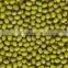 Mung bean