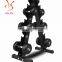 A Shape 6 Pairs of Dumbbell Rack Gym Fitness Equipment