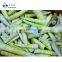 Frozen Bamboo Shoots Spring Bamboo Shoots Fresh Thunder Shoots