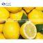 Sinocharm Fresh Fruits IQF Whole Lemon Frozen Slice Lemon