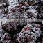 Healthy taste good frozen mulberry freeze mulberry
