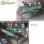 Factory Genyond Good quality small cheese production line mozzarella cheese processing plant cottage cheese making machine