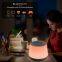 Portable Rechargeable White Noise Machine with 4 Levels Warm Light for Sleeping and Relaxing Compatible with Bluetooth Devices