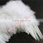 Wholesale Fairy Wings For Victoria Secret Fashion Show