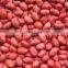 Raw Peanuts Kernel