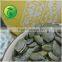 Benifit Of Pumpkin Seeds Kernels Extract