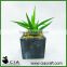 PVC Small Mini Artificial Potted Aloe Plant in Black Pulp Pot for Wholeselling