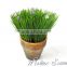 Cheap wholesale artificial onion grass bonsai plant wholesale onion grass
