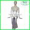Shopwindow colthing fashion display model
