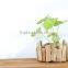 Fashion Wood Customized Table Planter