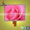 8 inch IPS TFT module 1024x768 with full viewing angle and high contrast