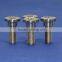 Custom pure titanium / titanium alloy screws
