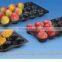 FDA Approval Custom-Made Different Types Gillian's PP Plastic Fruit Tray